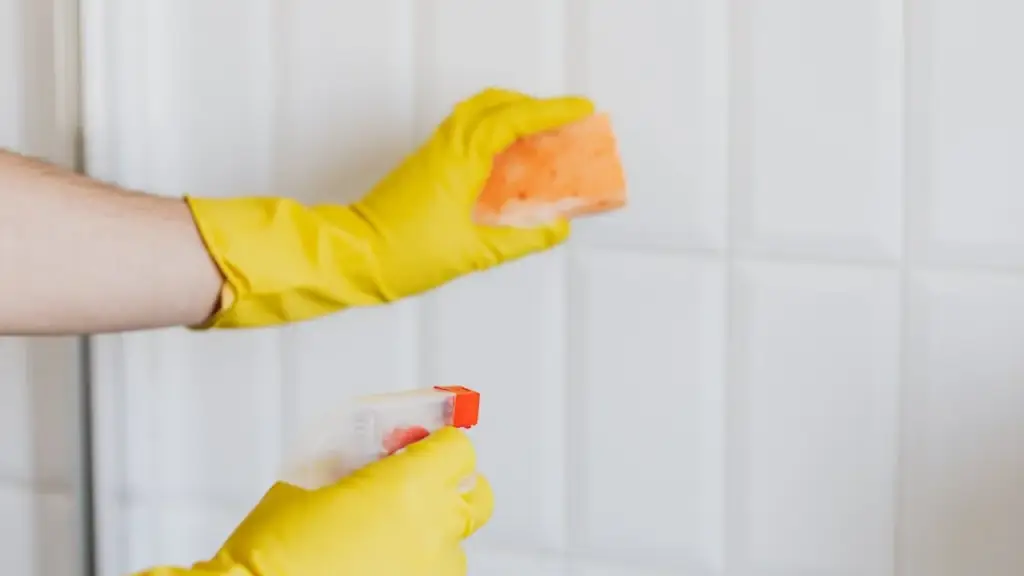 3- Preparação Adequada_ Limpeza e Reparos